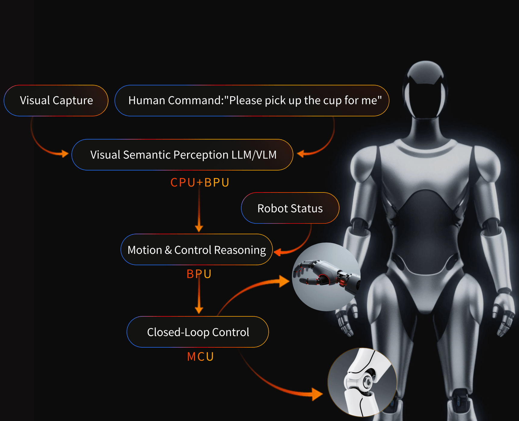 RDK S100 Model Collaboration Diagram, showing the perception - decision - control collaboration ability